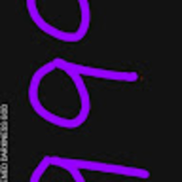 Meet your Posher, Chauncey - Picture 1 of 1